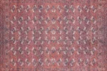 The Medallions 2 Washable Rug