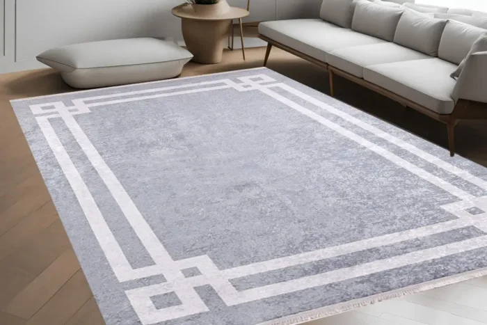 Modern Minimalist Gray Area Rug Washable Rug